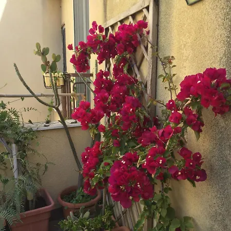 La Terrazza In Centro Apartman *